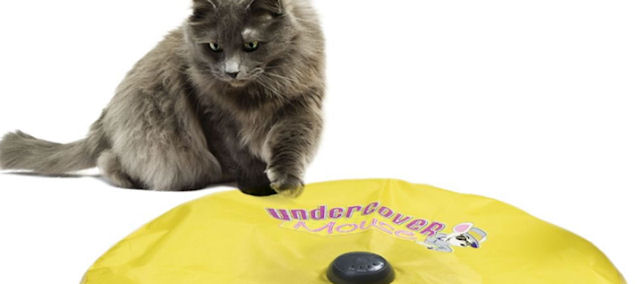 Американцы продают электронные дразнилки для кошек