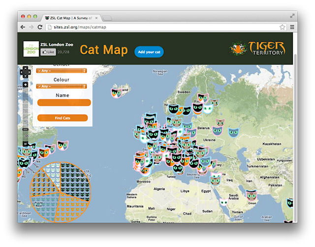 Все коты мира на одной карте
