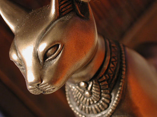 Раскрыта тайна почитания кошек древними египтянами