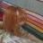 В Снежинске ветеринары спасли кота, оказавшегося в плену детских шалостей