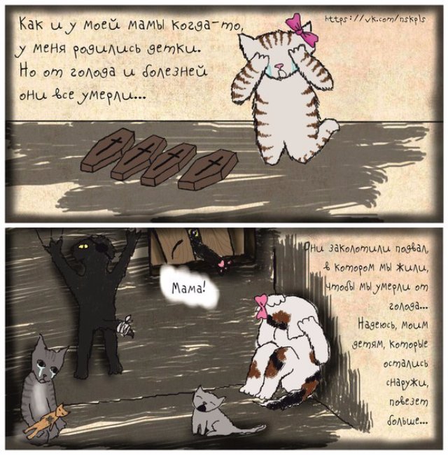 Волонтёры создали душещипательные комиксы про кошек