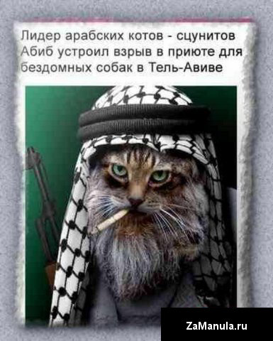 Лидер арабских котов-сцунитов