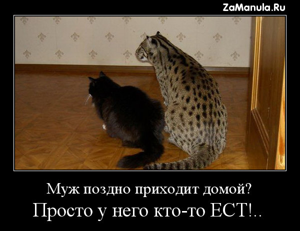 http://zamanula.ru/wp-content/uploads/2009/10/rybolov177.jpg