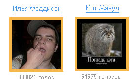 Результаты "герой рунета"
