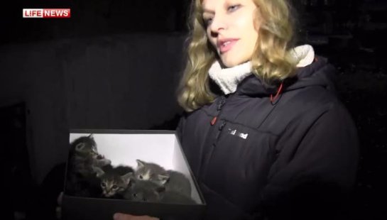 В Казани спасли кошку с котятами