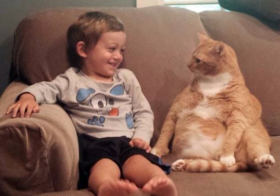 Кот стал лучшим другом для ребёнка
