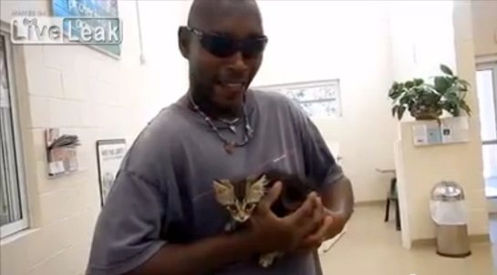 Американец разрезал пикап, чтобы достать котенка