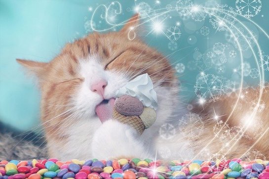 В Белгороде будут выпускать мороженое для котов и собак