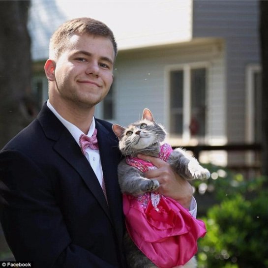 Американец пришел на выпускной бал с кошкой