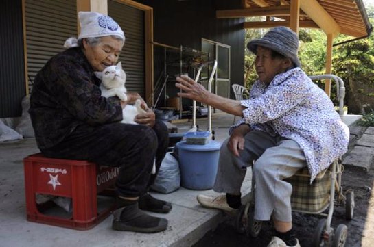 Японская старушка и её кошка Фукумару с разными глазами