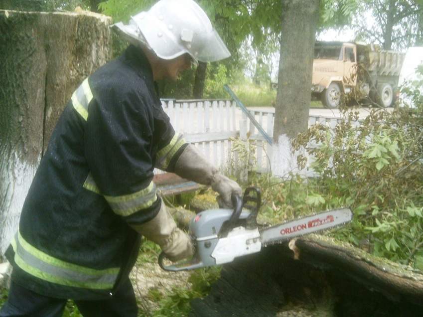 На Житомирщине горящее дерево упало на сельский магазин и спровоцировало пожар