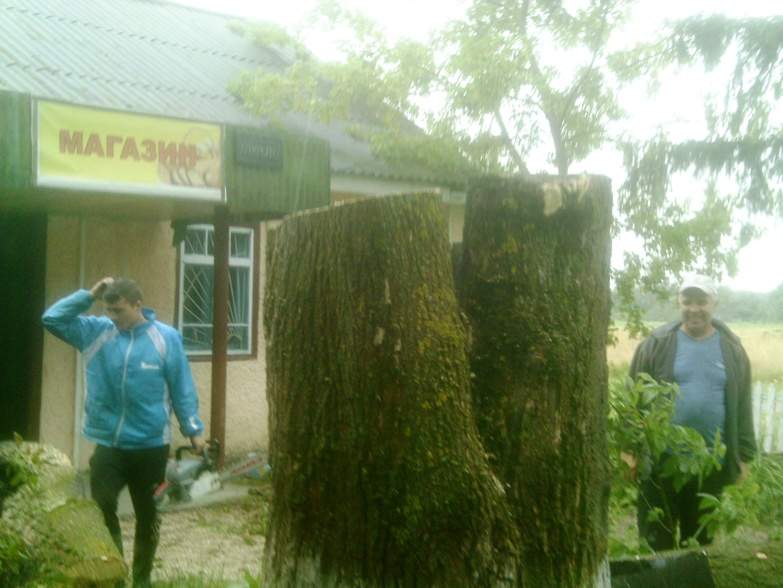 На Житомирщине горящее дерево упало на сельский магазин и спровоцировало пожар