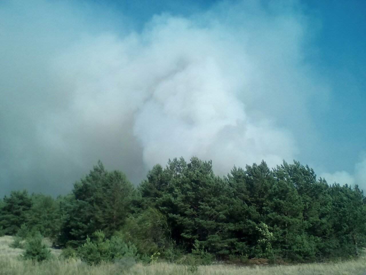 В Черниговской области пытаются ликвидировать возгорание на военном полигоне