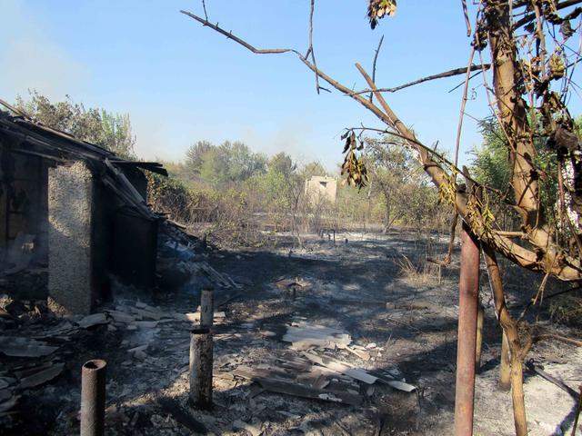 На Луганщине разгорается лесной пожар. Огонь достиг уже 65 гектаров земли