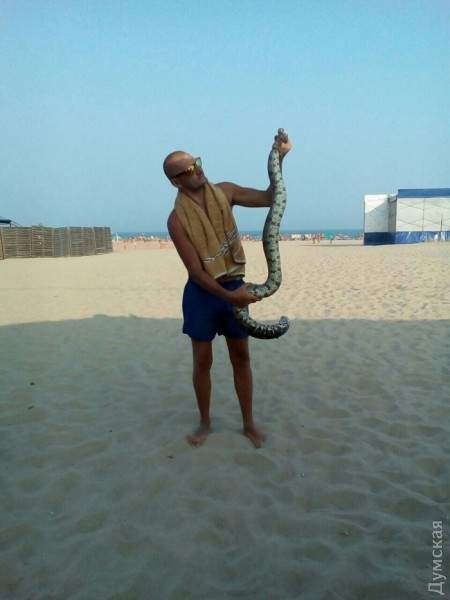 В Одесской области на пляже выловили двухметрового питона