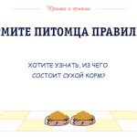 Все о кормах для домашних животных: полезные советы и статьи об уходе