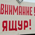 В Башкирии ящур. Объявлен режим ЧС