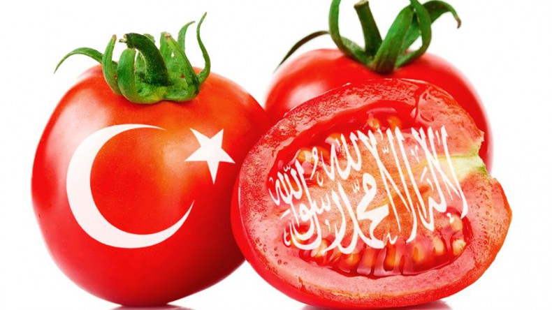 Турецкие помидоры могут вернуться в Россию