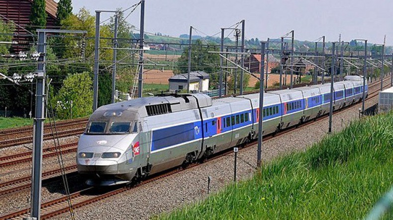 Кабаны протаранили скоростной поезд в Германии
