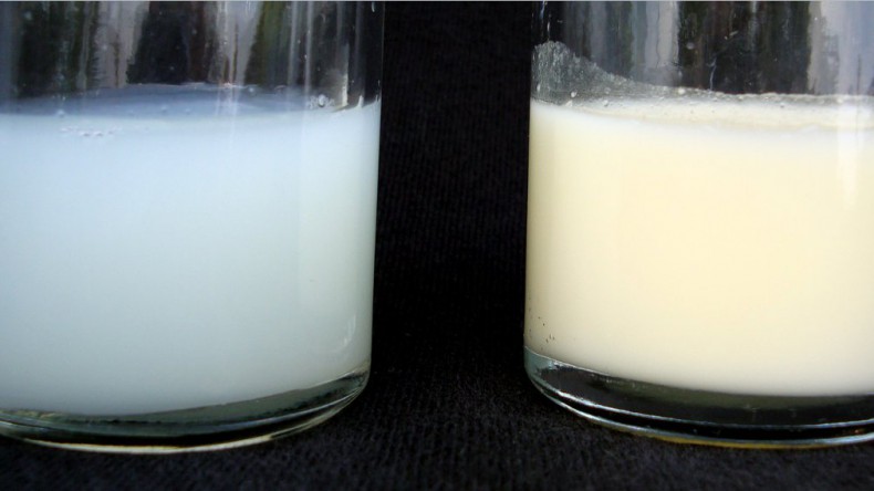 Молоку официально могут позволить иметь синеватый оттенок