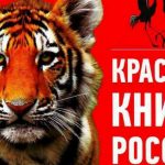 Минприроды утвердило новую редакцию Красной книги