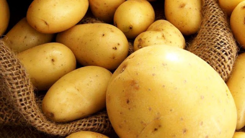 Жителей России ожидает картофельный голод