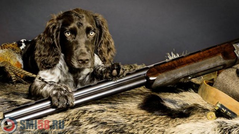 В России собака на охоте застрелила человека