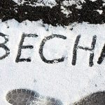 Весна придет в столичный регион к воскресенью