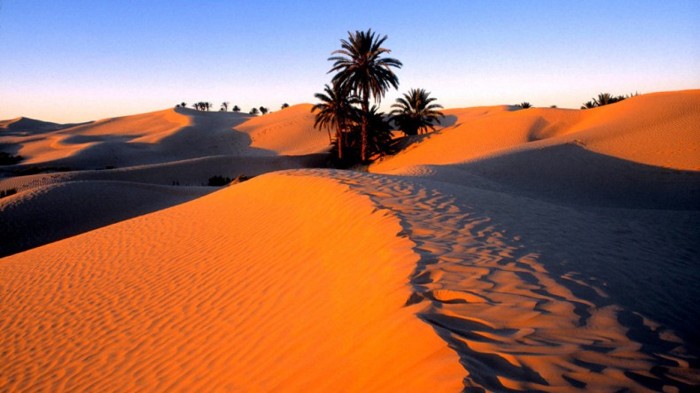 Пустыня Сахара увеличилась на 10% за 100 лет