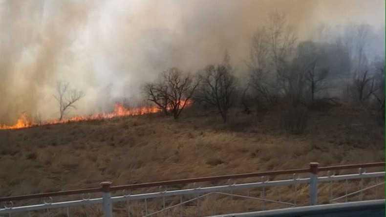 Режим ЧС введен в двух районах Приамурья из-за лесных пожаров