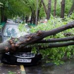 В больнице скончалась пострадавшая от урагана пожилая женщина