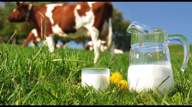 Названы бренды самого лучшего молока в ЦФО