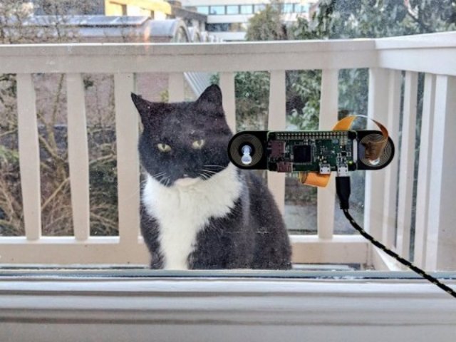 Инженер разработал систему дистанционного открывания двери для кота