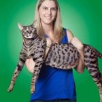 Американская семья заплатит 13 биткоинов за четырех сбежавших котов