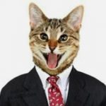 Facebook заблокировал аккаунт блогера за фото кота в деловом костюме