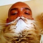 Новый бум в интернете: люди выкладывают фото с бородами, сделанными из котов