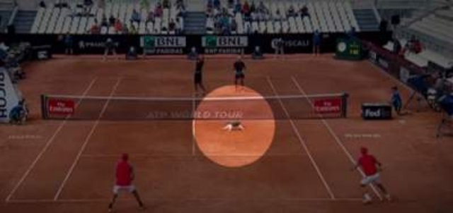 В Риме кошка едва не сорвала теннисный матч