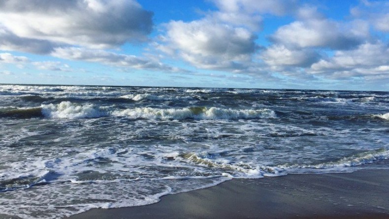 В Балтийском море ожидается экологическая катастрофа