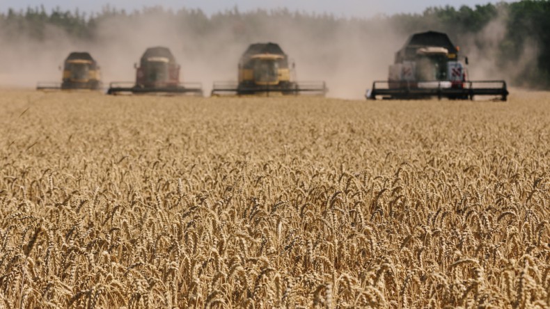 Американским фермерам, пострадавшим от ответных пошлин, будет выделено $12 млрд
