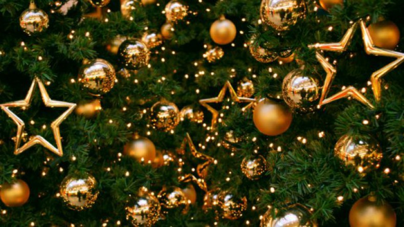 Милонов предлагает Деду Морозу установить высокие пошлины на елки