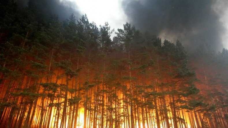 В России начался сезон лесных пожаров