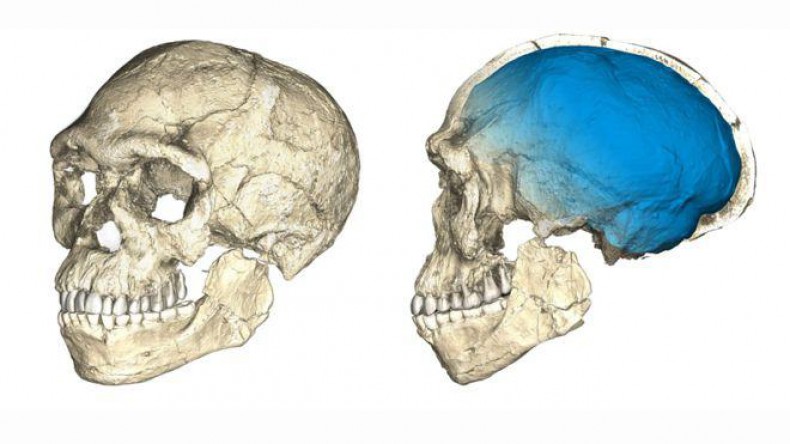 Ученые ошибаются: черепа, найденные в Греции, принадлежат вовсе не Homo sapiens