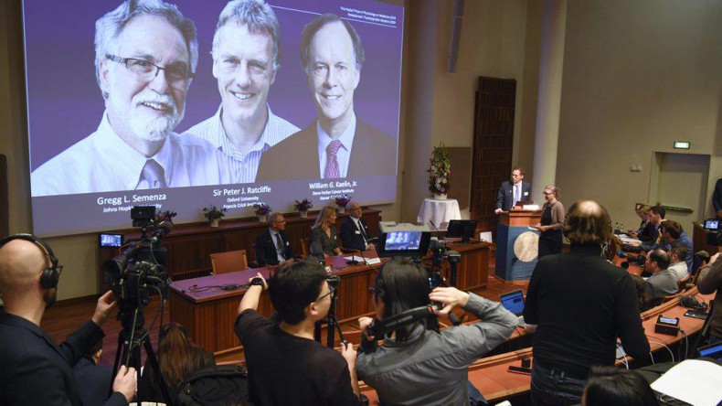Нобелевские лауреаты по медицине и физиологии этого года создадут лекарство от рака