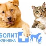 Ветклиника Айболит: вылечим Вашего питомца