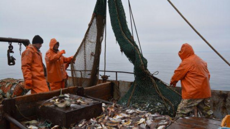 Добычу рыбы в России определит электронный аукцион