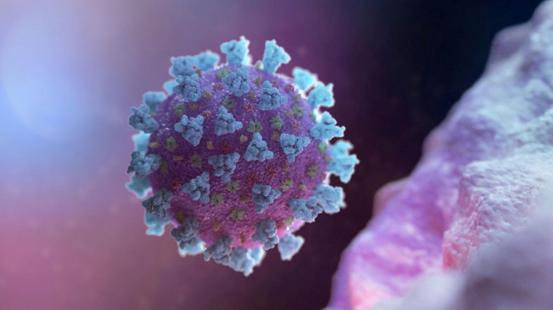 В Нидерландах зарегистрирована первая смерть после повторного заражения коронавирусом