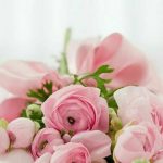 Как выбрать свежие цветы: 5 простых способов