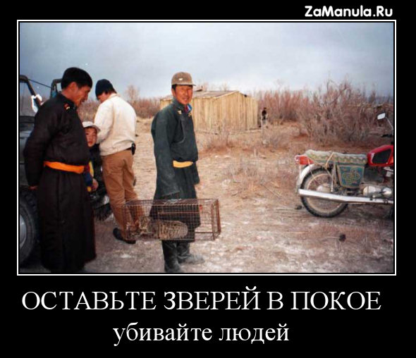 http://zamanula.ru/wp-content/uploads/2009/12/za11.jpg